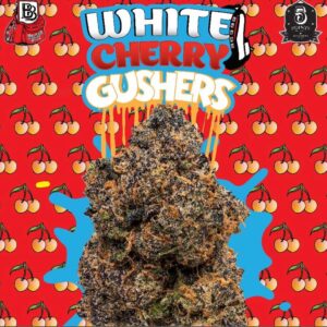 White Gushers Strain