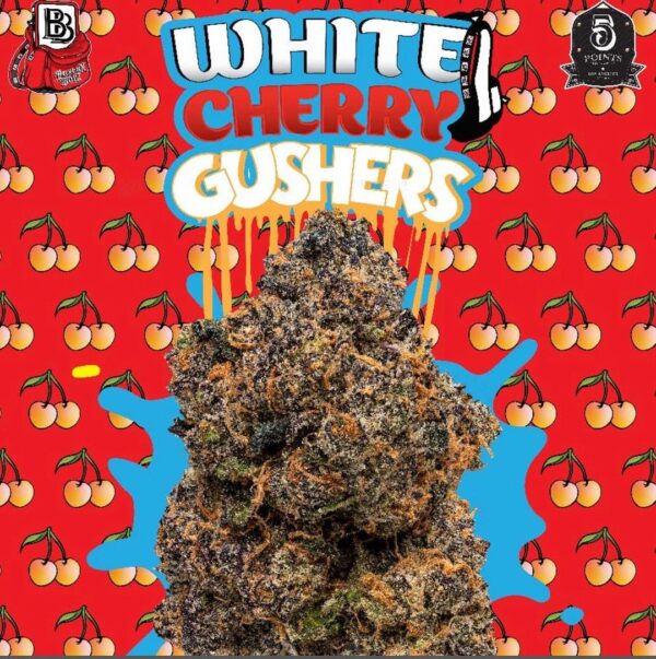 White Gushers Strain