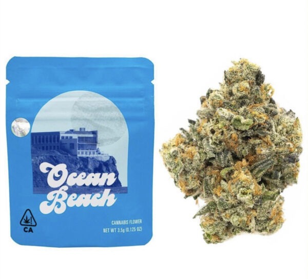 Ocean Beach Strain