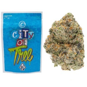 Cookies | City Of Trees