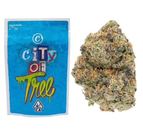 Cookies | City Of Trees