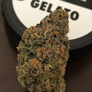 Connected | Gelato