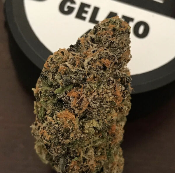 Connected | Gelato