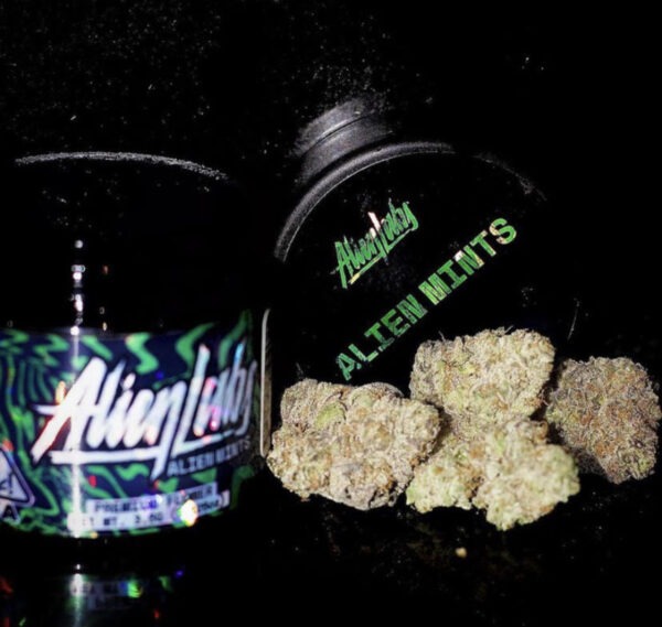 Alien Labs Alien Mints