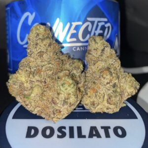 Dosilato Strain