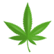 Scottie Strains