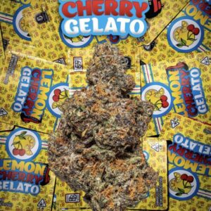 Lemon cherry Gelato Strain